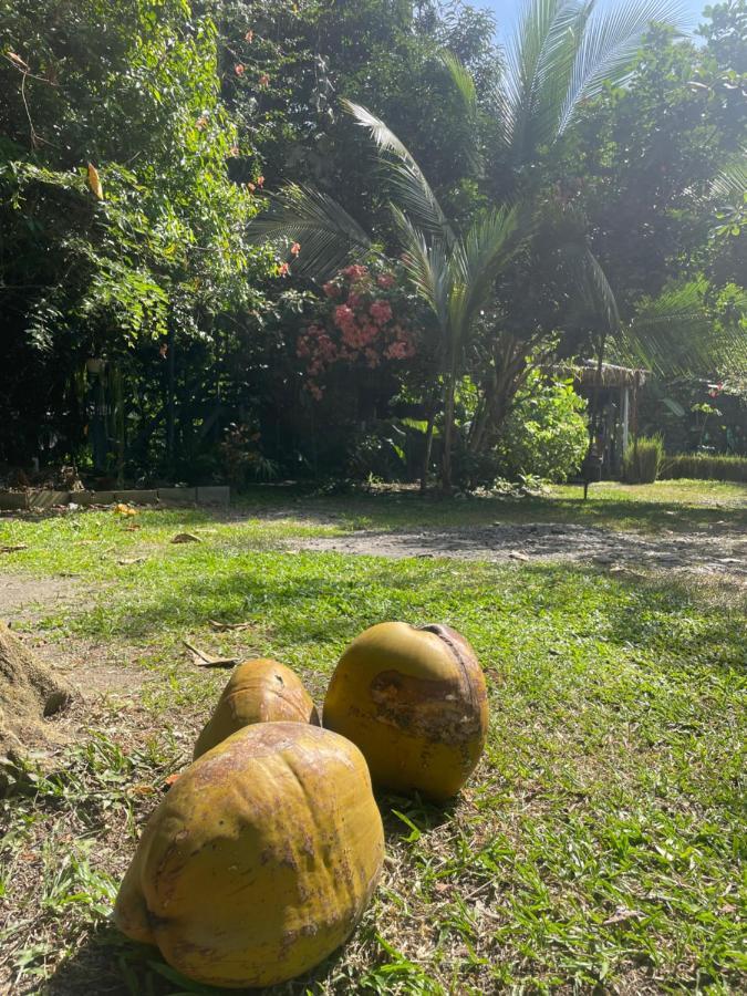 Guest house Organico Punta Riel *