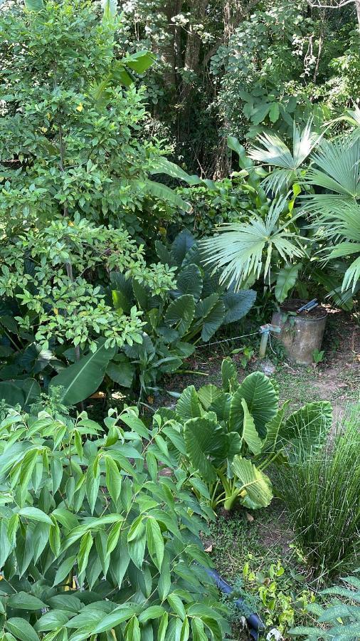 Guest house Organico Punta Riel Cahuita