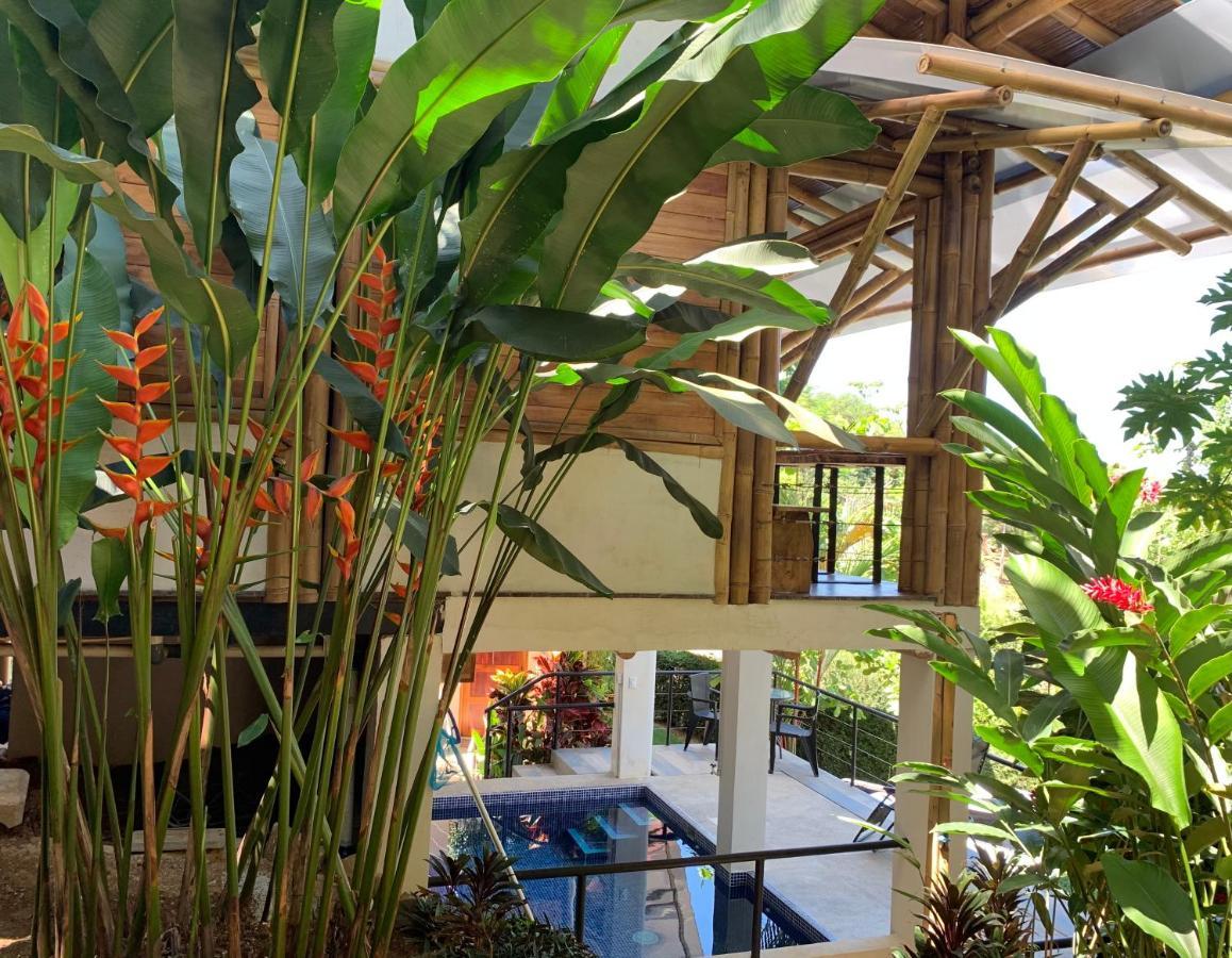 Bambura Hermosa Lodge