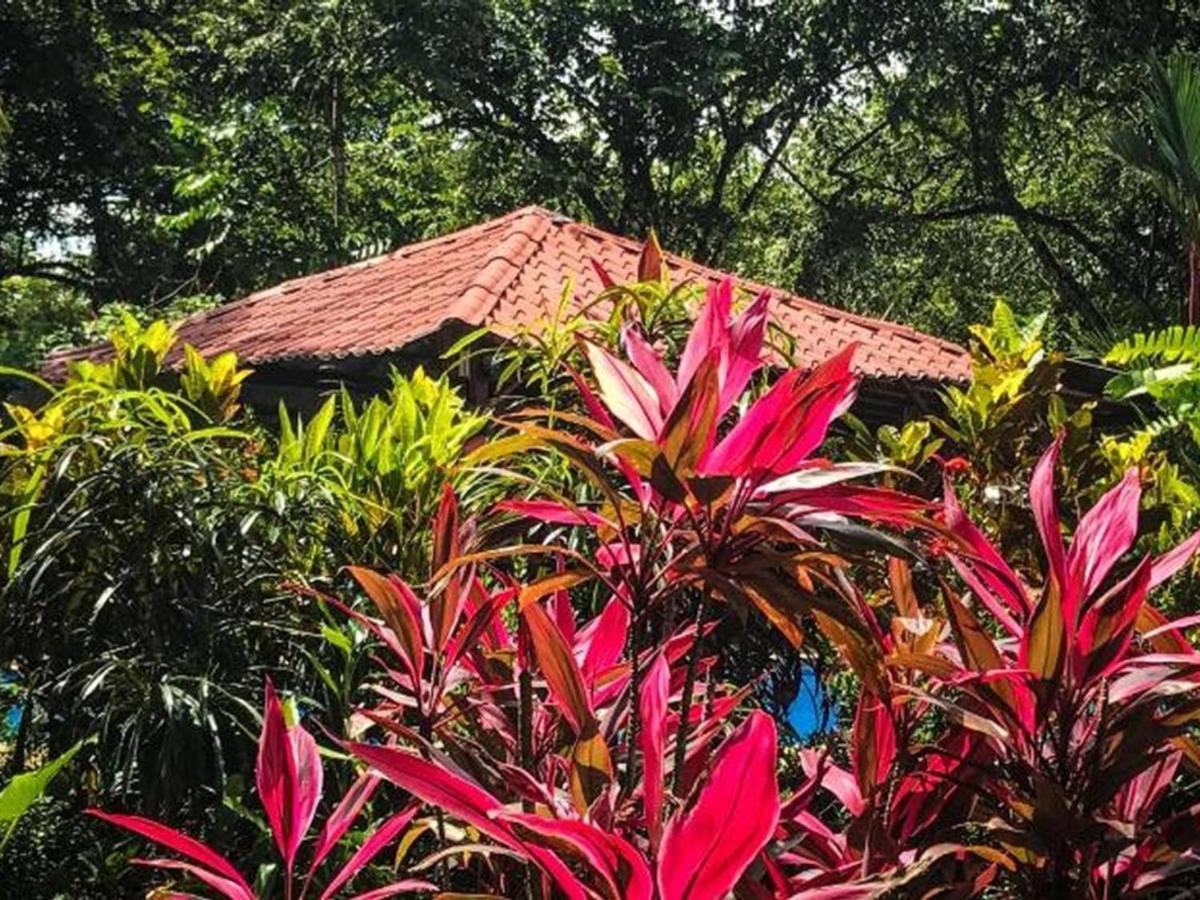 Casa Colores Guest house