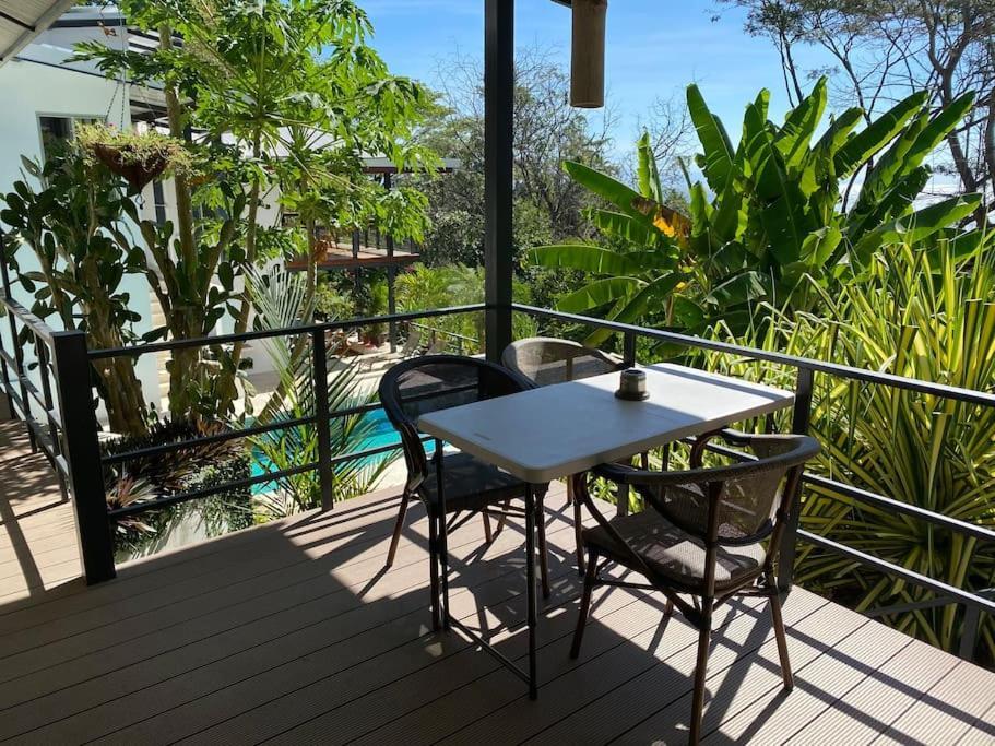 Jungle Copa De Arbol, Oceanview, Infinity Montezuma