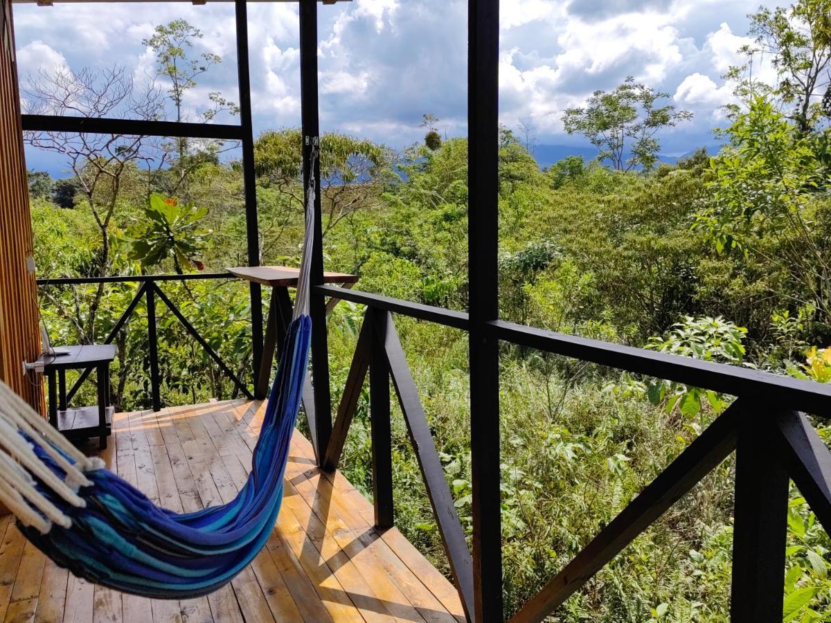 Onca Tours & Treehouses Katira