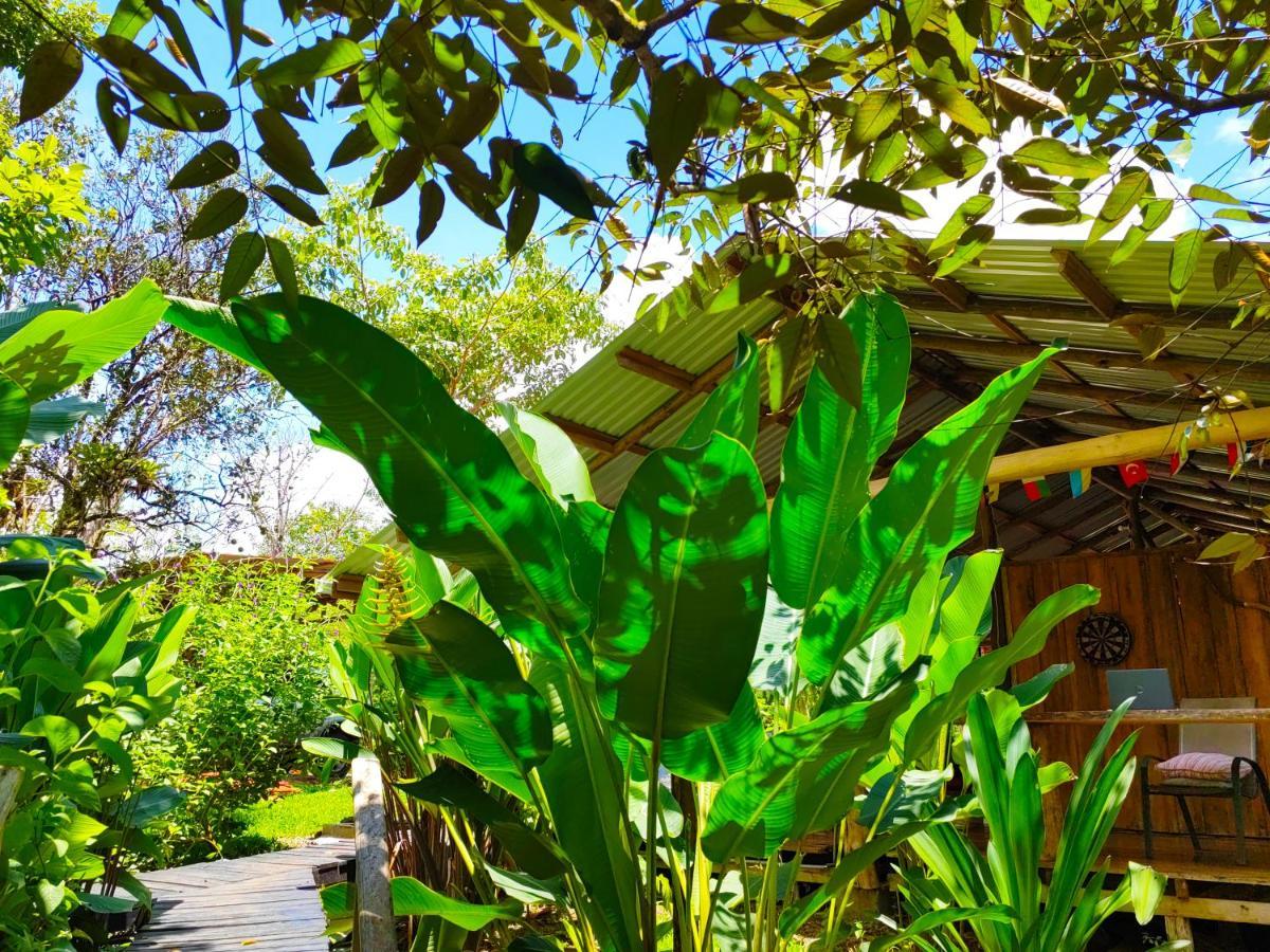 Onca Tours & Treehouses * Katira