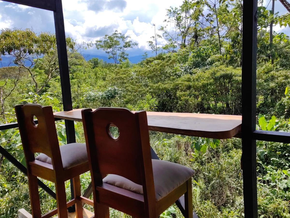 Onca Tours & Treehouses Lodge *