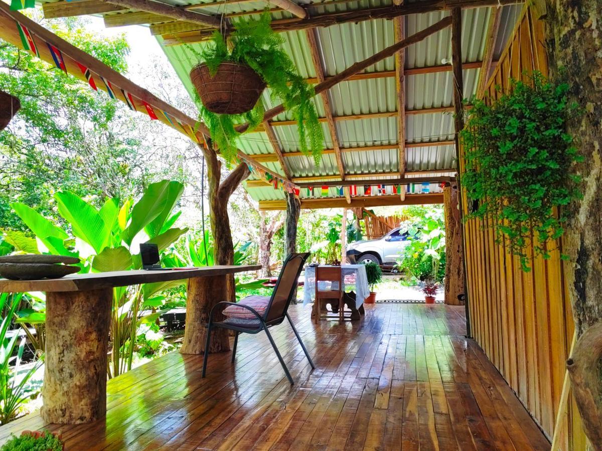 Onca Tours & Treehouses Lodge *