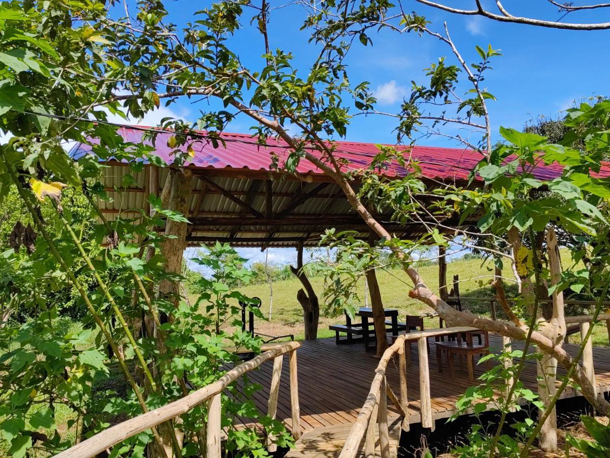 Lodge Onca Tours & Treehouses Katira