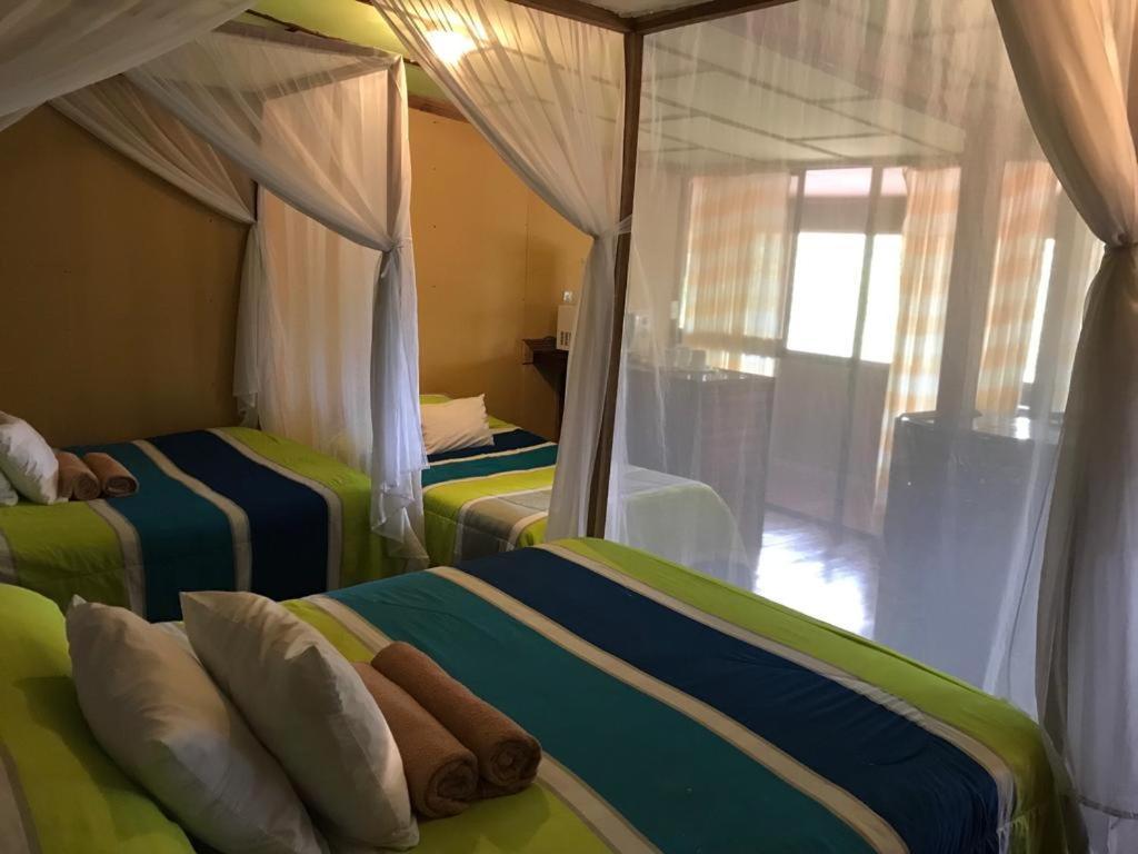 Hotel Mountain Turrialba