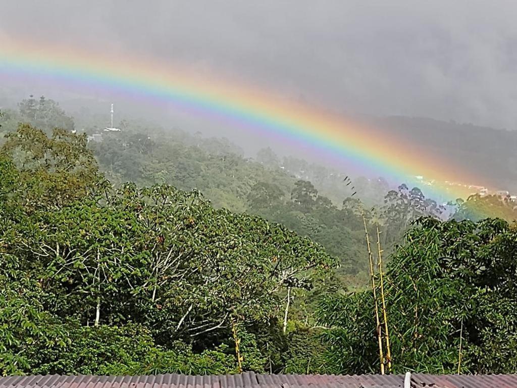 Hotel Mountain Turrialba