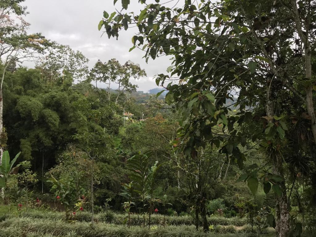 Mountain Hotel Turrialba