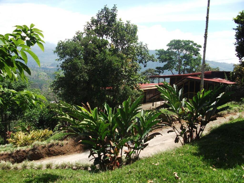 Hotel Mountain Turrialba