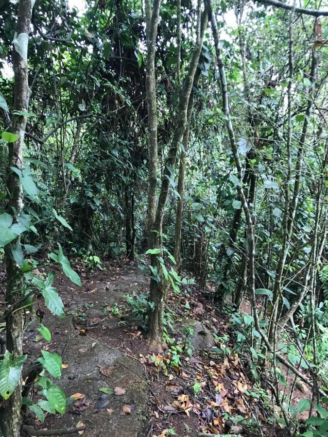 Hotel Mountain Turrialba