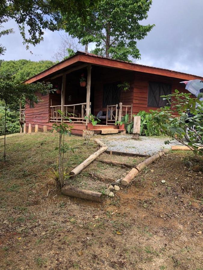 Chalet Log Cabin In Tinamaste Valley, Habacuc Woods, Baru Platanillo