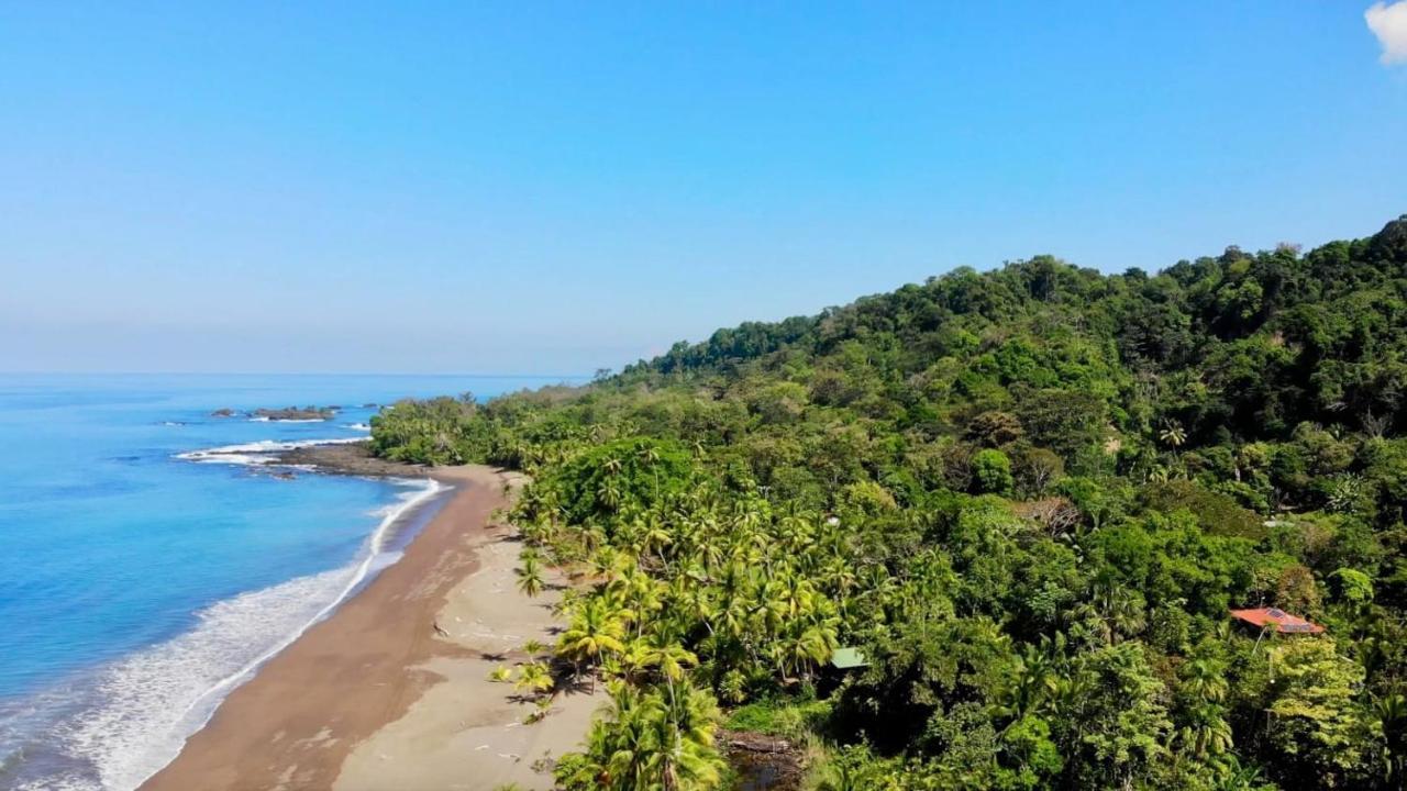 Ocean Forest