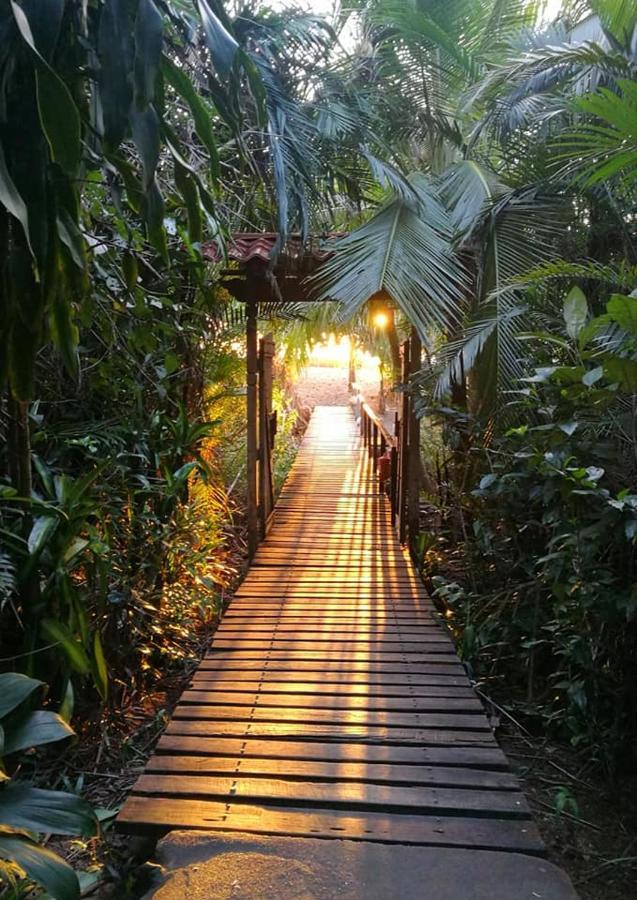 Ocean Forest Hotel 3*