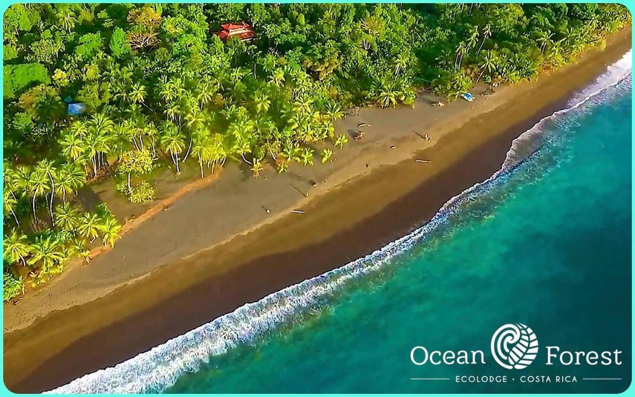 Hotel Ocean Forest 3*