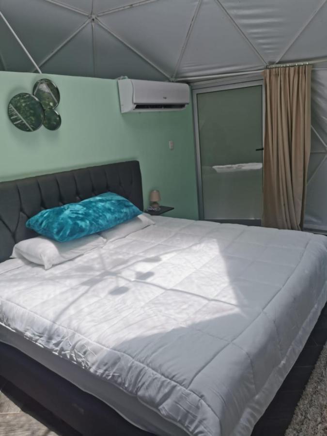Roble Coral Glamping Bed & Breakfast