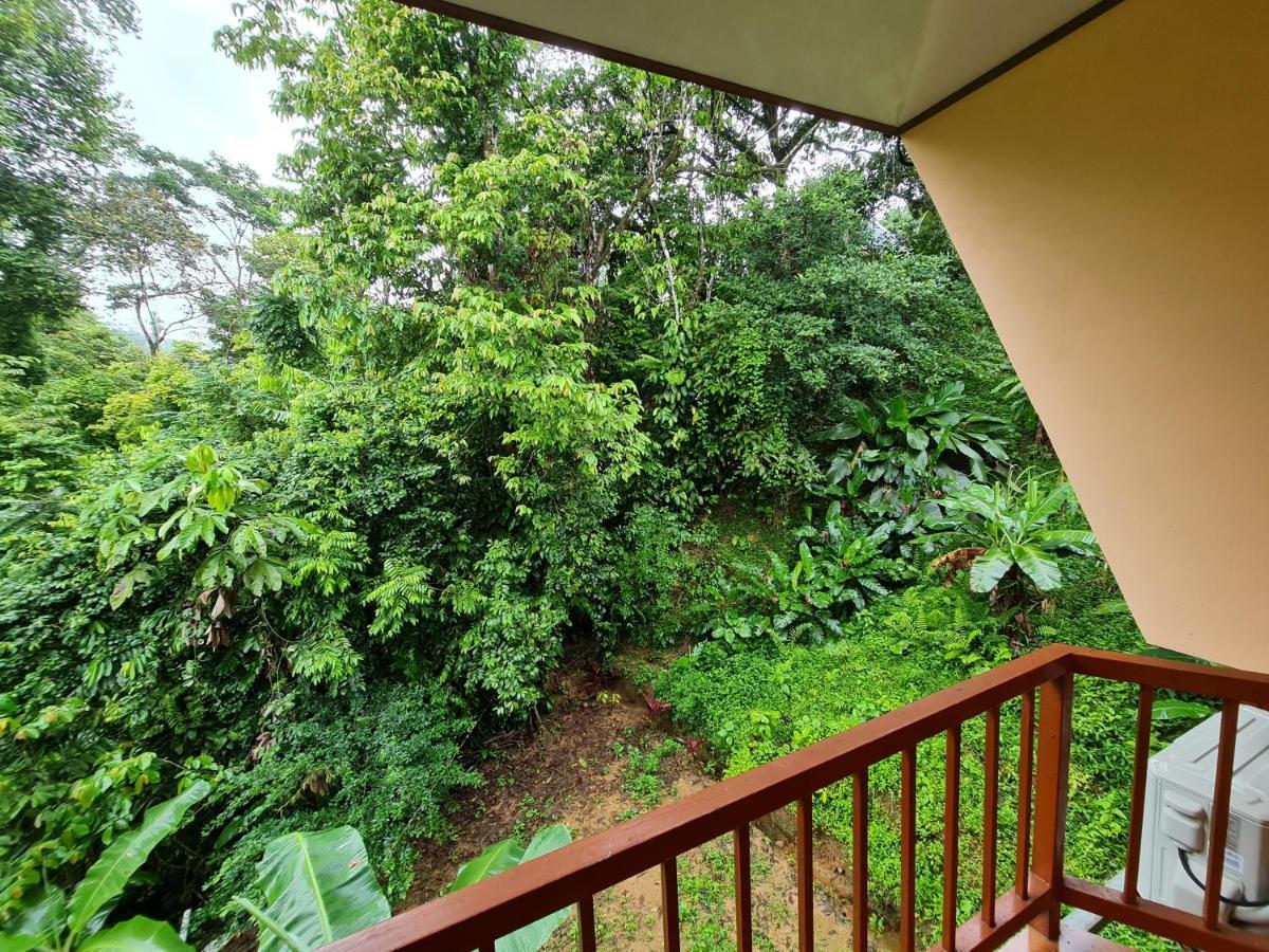 Hotel Ceiba Drake Bay