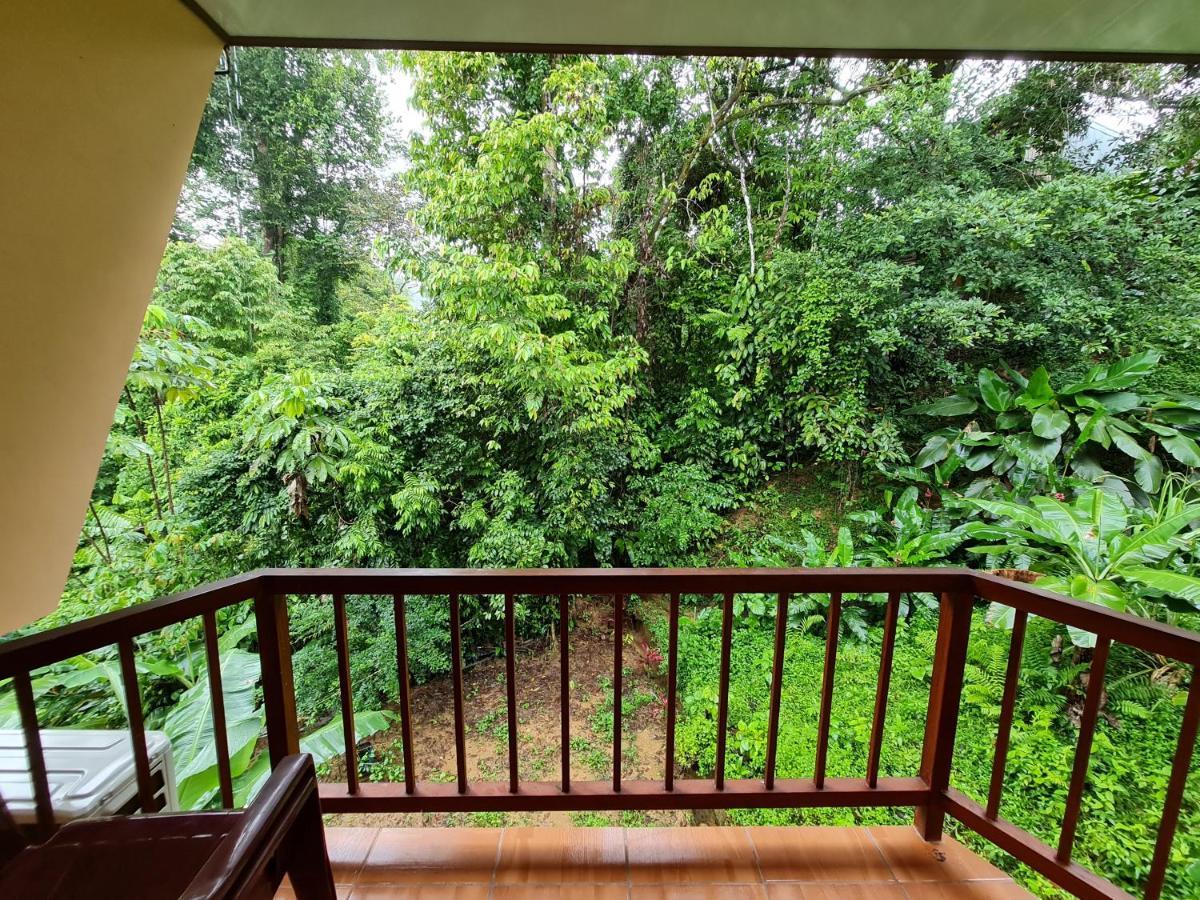 Ceiba *