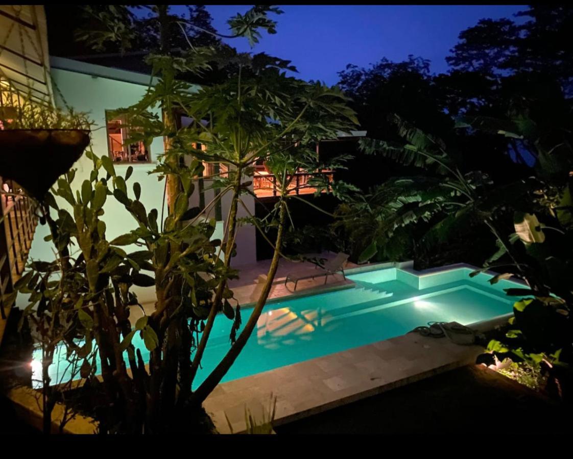 Villa Jungle Copa De Arbol, Oceanview, Infinity *
