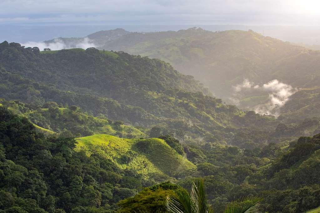 The Retreat Costa Rica 3*