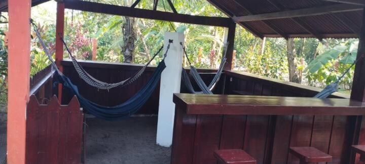 Gecko De Bed & Breakfast Tortuguero