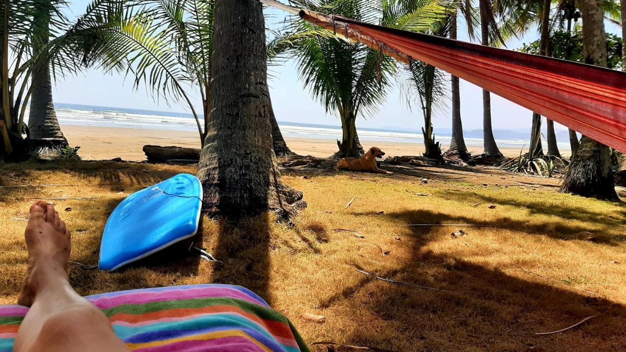 Apartment Down By The Sea, The Beachfront Puerto Coyote