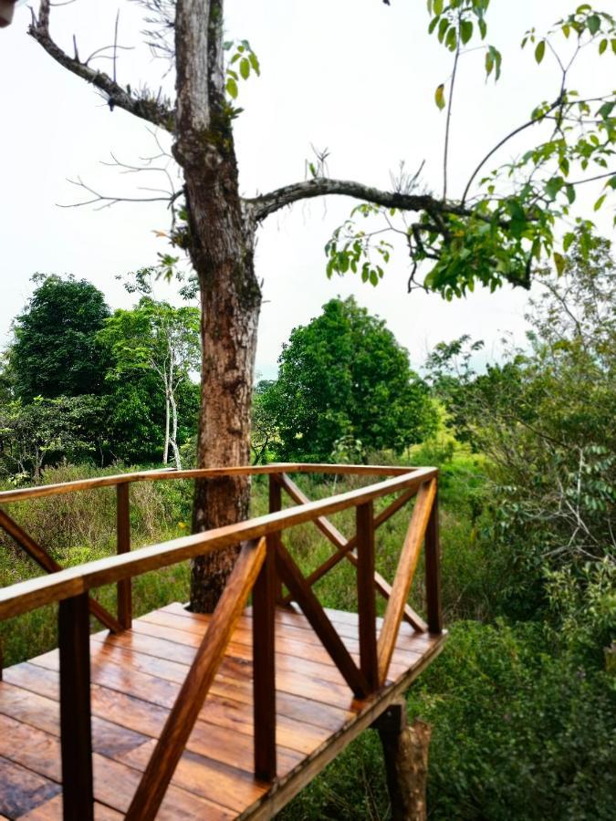 Onca Tours & Treehouses Lodge *