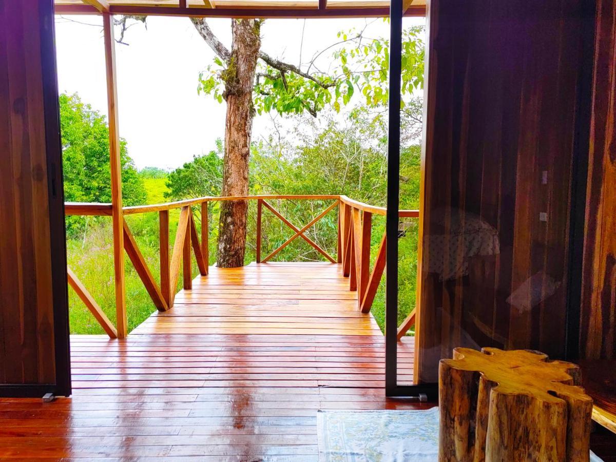 Onca Tours & Treehouses Katira