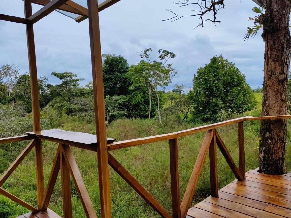 Lodge Onca Tours & Treehouses Katira