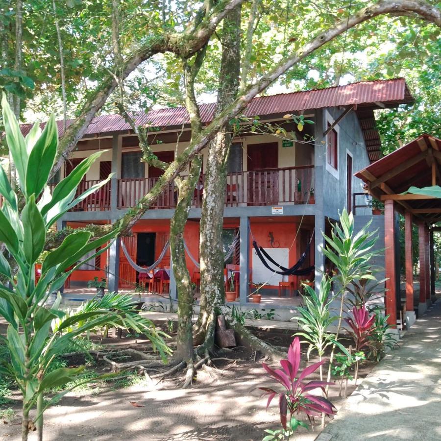 Gecko De Bed & Breakfast