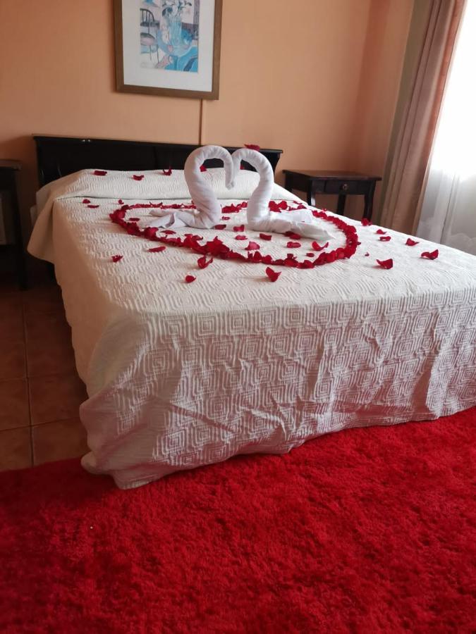 House Of The Macaws Bed & Breakfast