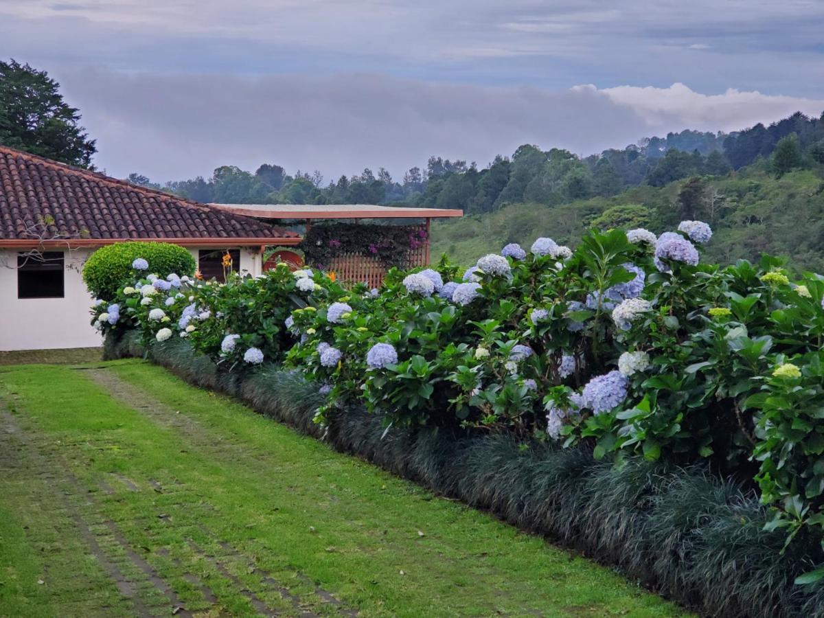 Finca Paraiso Mountain Retreat Near San Jose Airport Birri