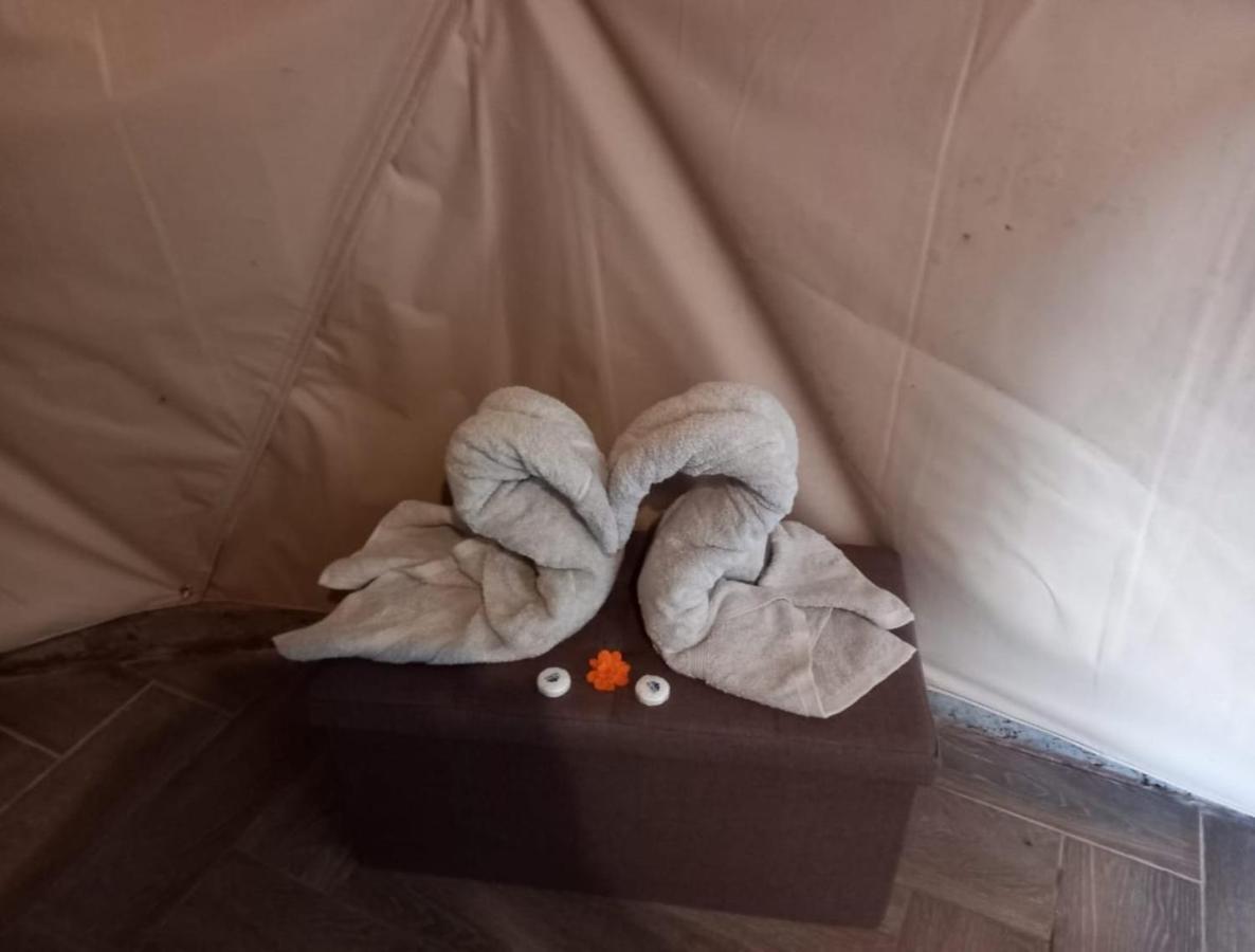 Glamping Lodge *