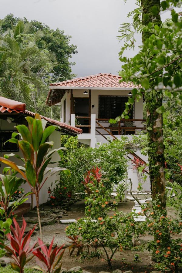 Dreamy Contentment Matapalo (Puntarenas)