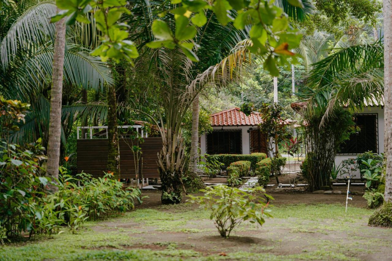 Dreamy Contentment Bed & Breakfast