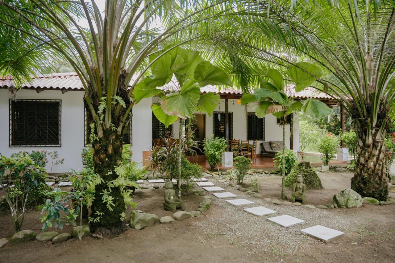 Bed & Breakfast Dreamy Contentment Matapalo (Puntarenas)