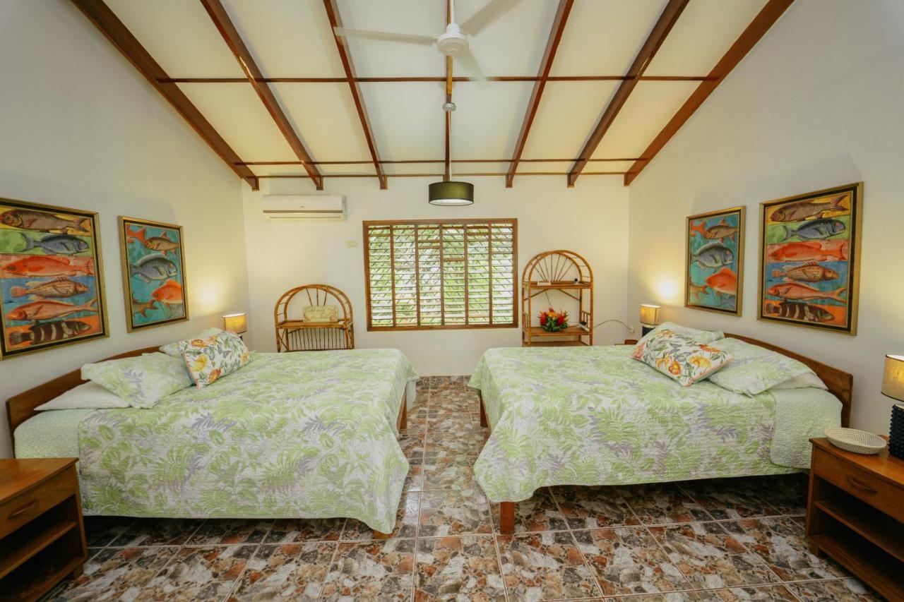 Dreamy Contentment Bed & Breakfast