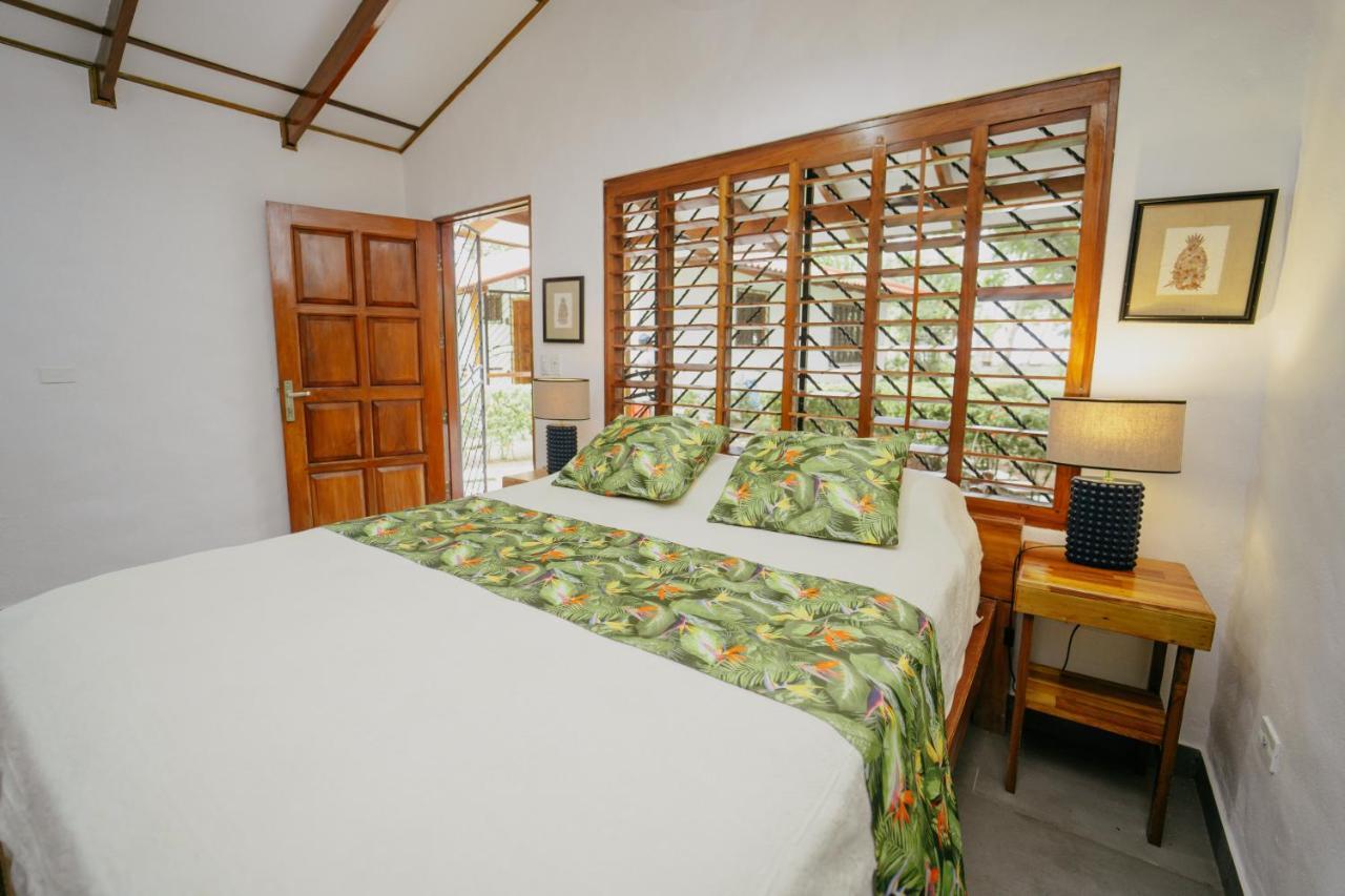 Bed & Breakfast Dreamy Contentment Matapalo (Puntarenas)