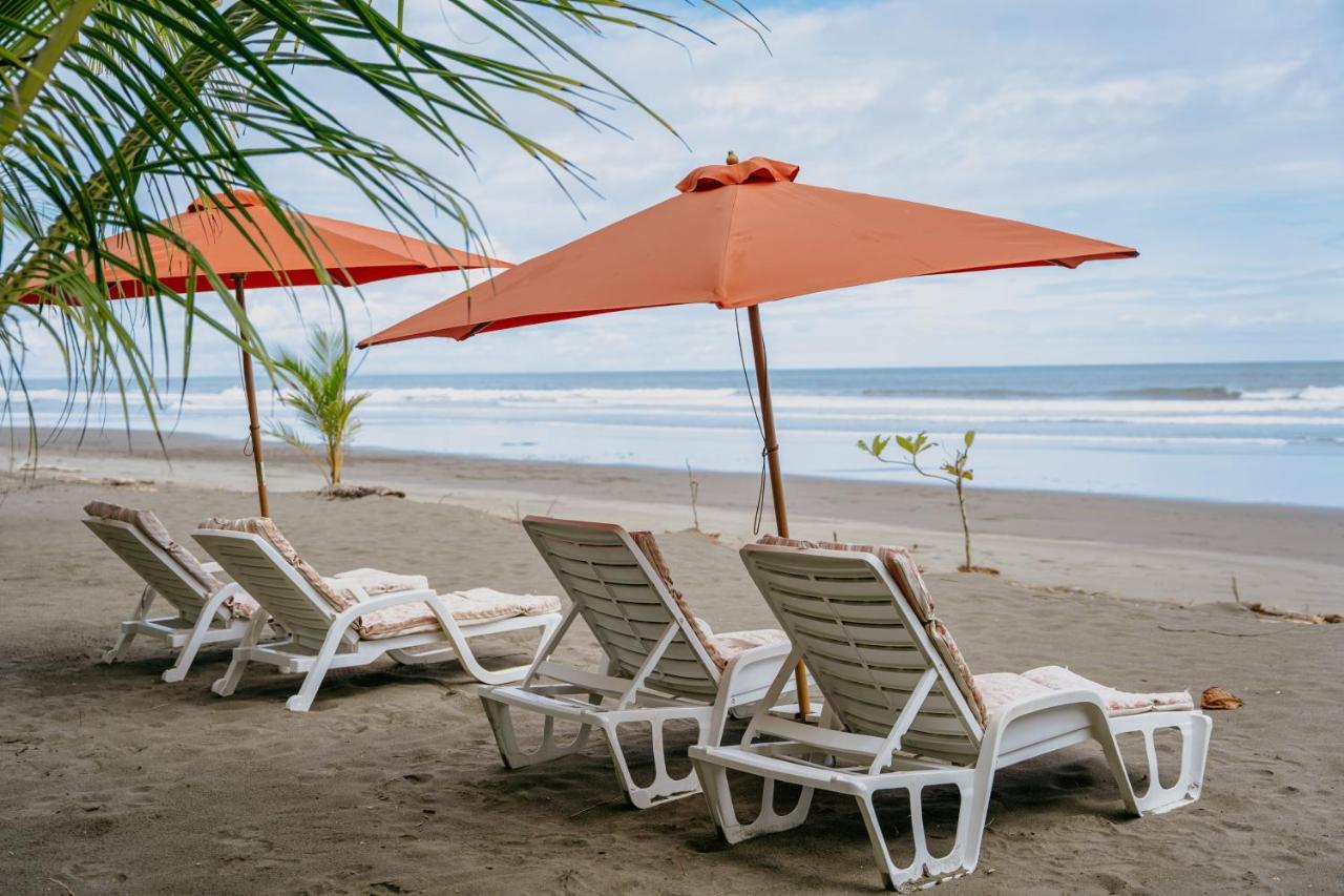 Dreamy Contentment 3* Matapalo (Puntarenas)