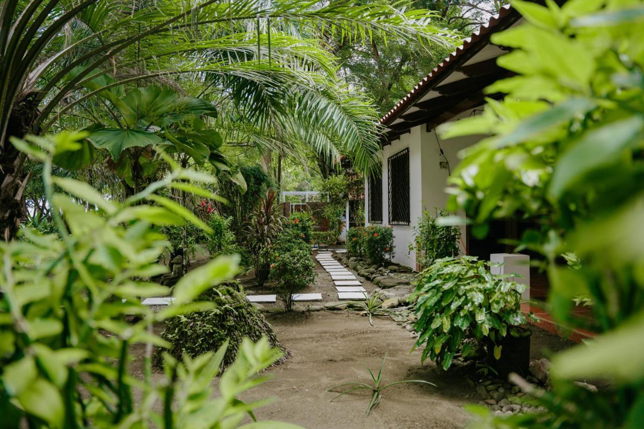 Dreamy Contentment Matapalo (Puntarenas)