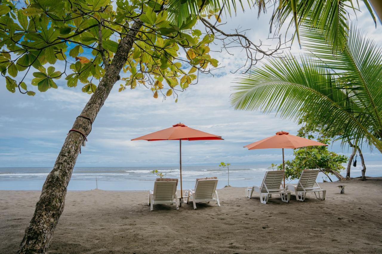Dreamy Contentment Bed & Breakfast Matapalo (Puntarenas)