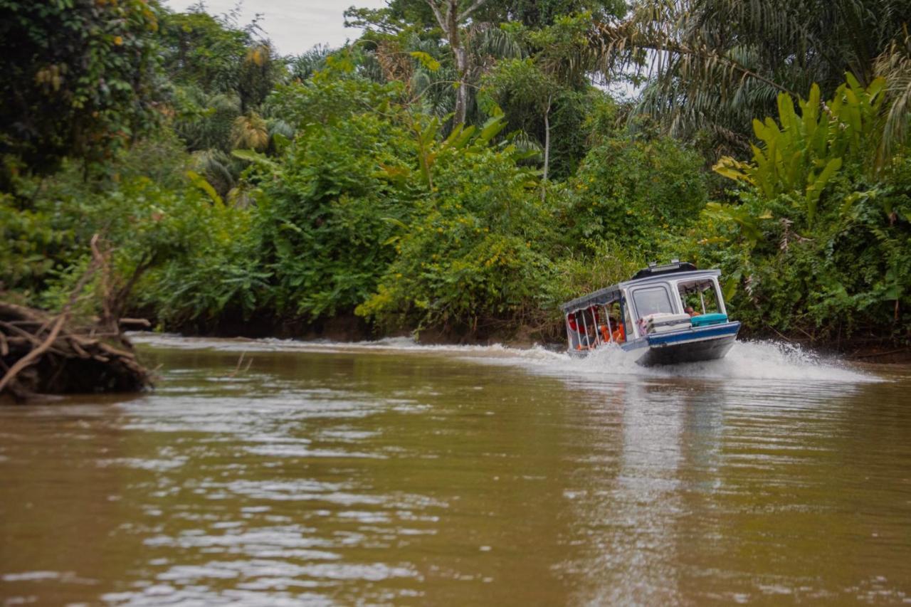 El Icaco Tortuguero