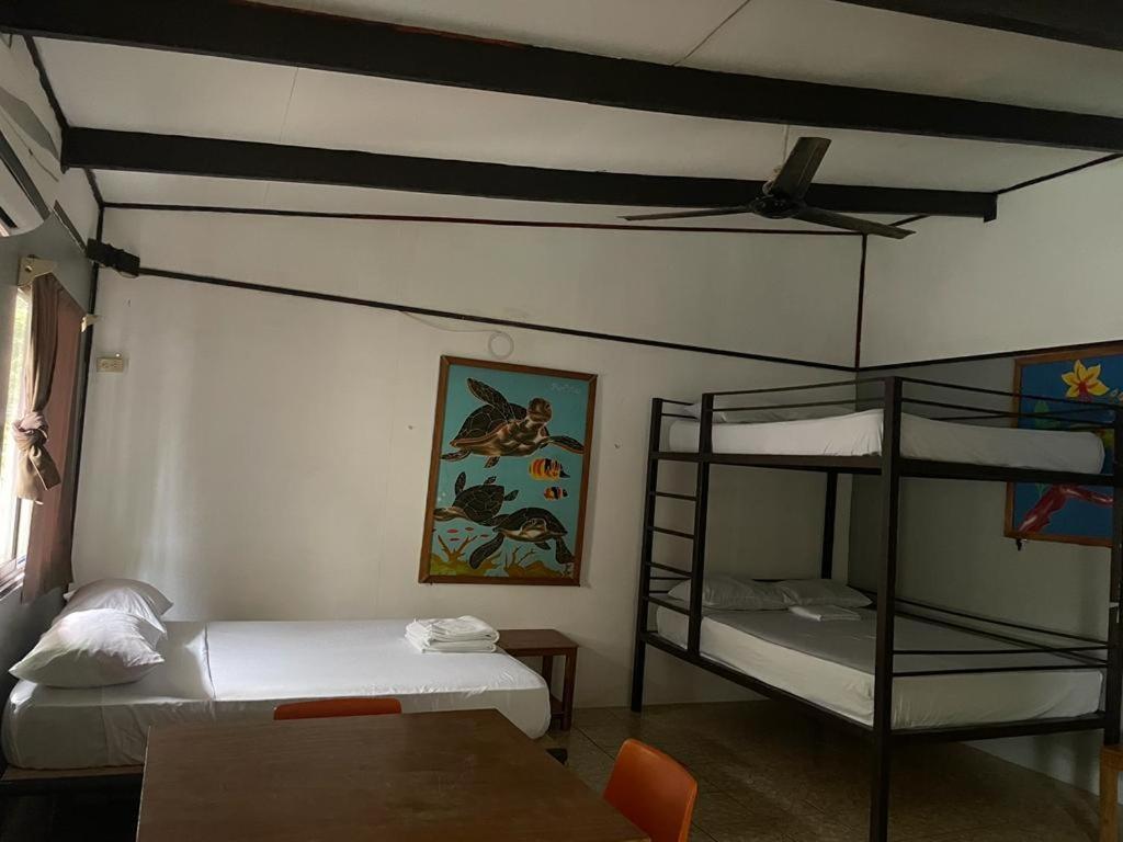 Apartment Be My Guest Cabinas Puerto Viejo de Talamanca