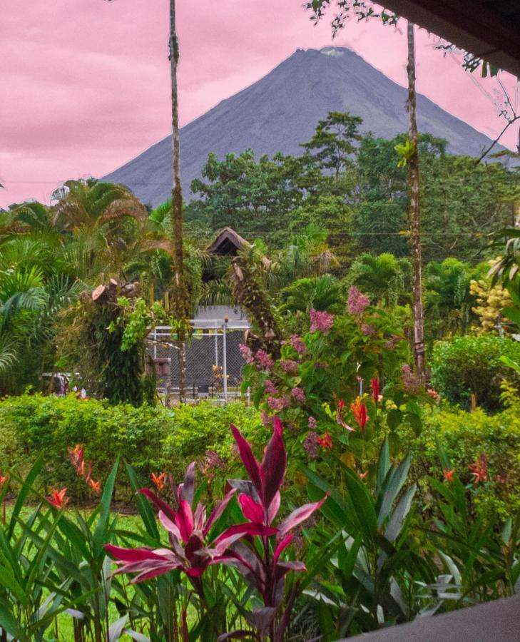 Hostel Arenal Backpackers *