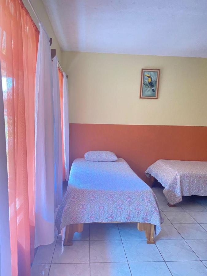 La Puesta Del Sol Monteverde