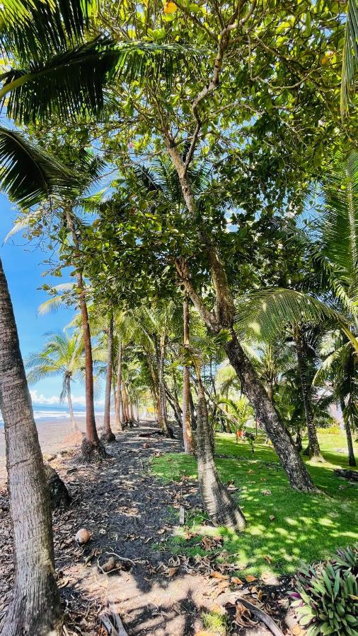 Hotel Beachfront Vista Hermosa Jaco