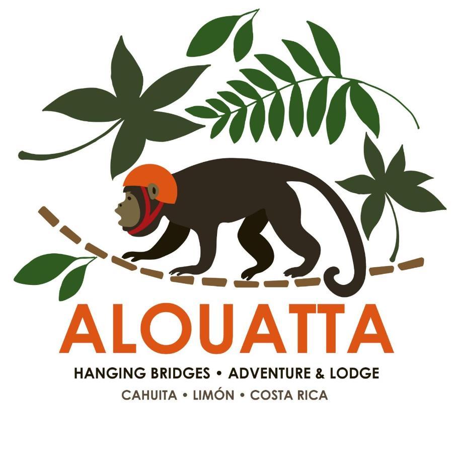 Alouatta And Canopy *