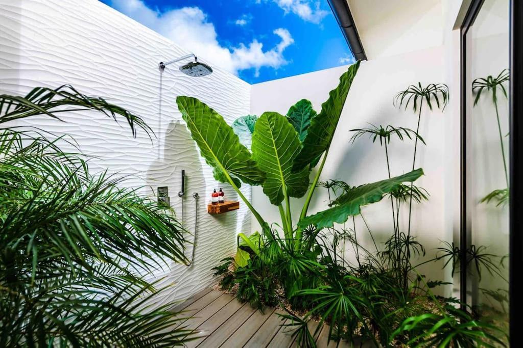 Twilight Tree 5bdr Nature & Exclusivity * San Jose Pinilla