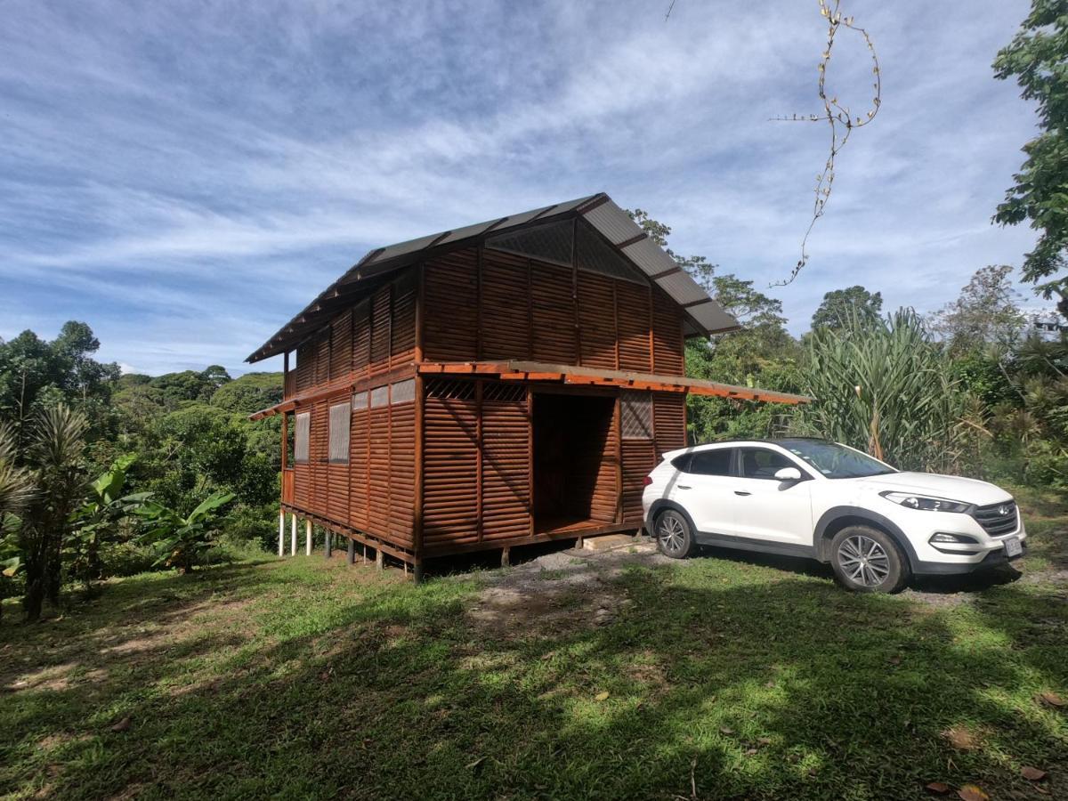 Eco Guest House - Sarapiqui 1 Guest house Sarapiqui