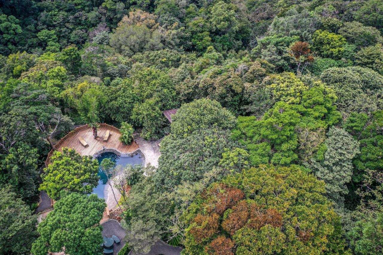& Gardens By Boeena Monteverde